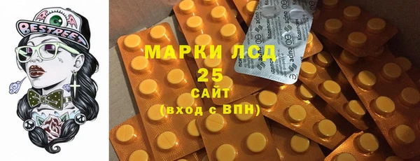 мдпв Карпинск