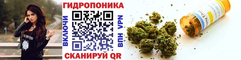 mega вход  дарнет шоп  Владикавказ  Шишки марихуана планчик 